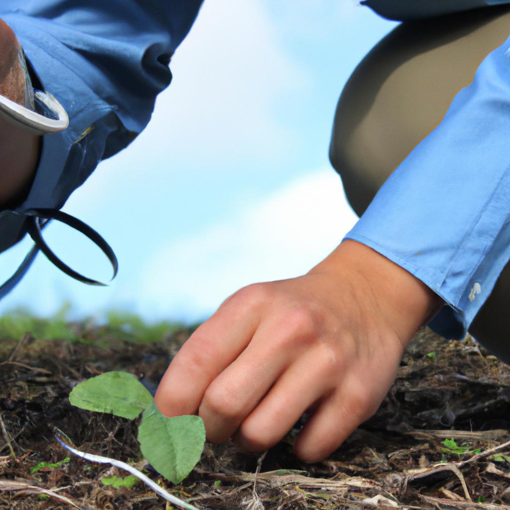 Person conducting plant research